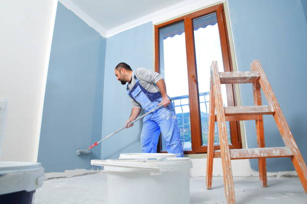 Best Basement Mold Removal  in Boston Heights, OH