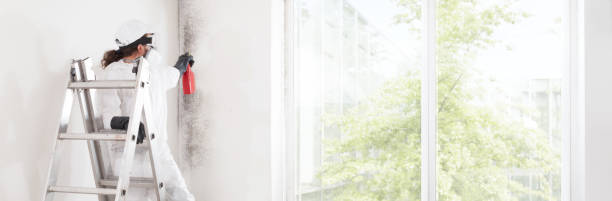 Best Dehumidification Services  in Boston Heights, OH