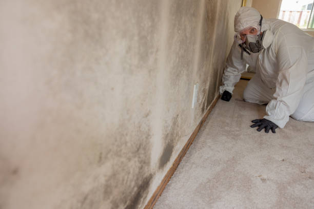 Best Mold Prevention Services  in Boston Heights, OH